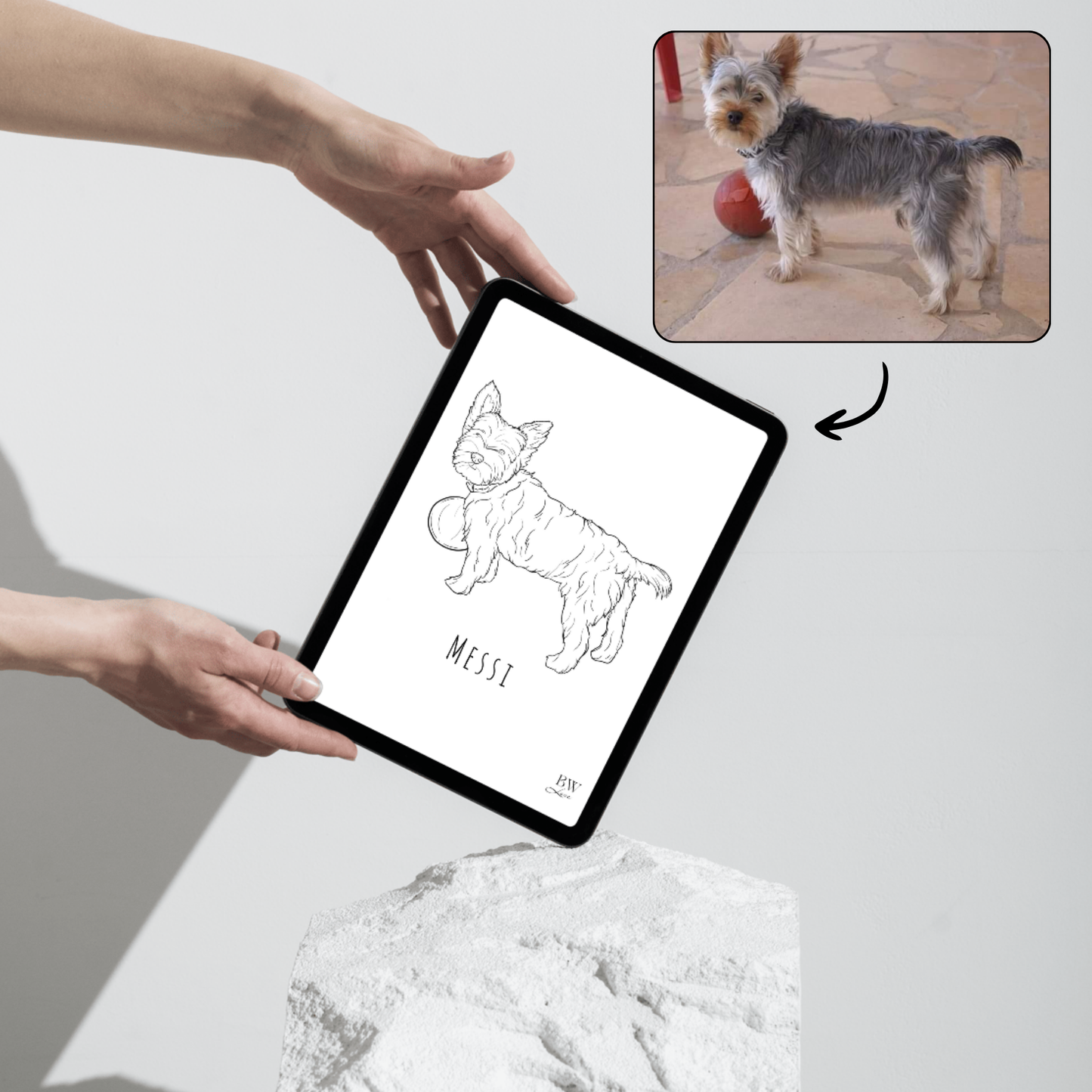 Ilustração Personalizada - FORMATO DIGITAL