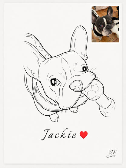 Ilustração Pet - Digital