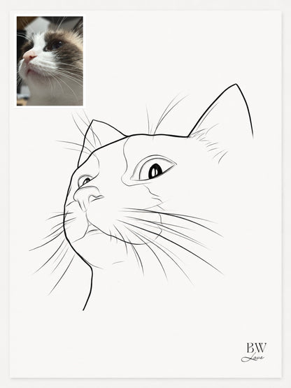 Ilustração Pet - Digital